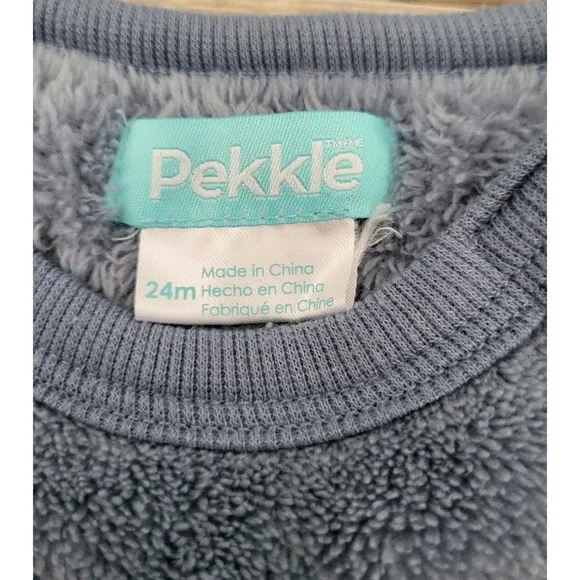 Dinosaur Pekkle Kids Fleece Sweater Top 24 Months Boys Blue Brontosaurus Shirt - Picture 2 of 2